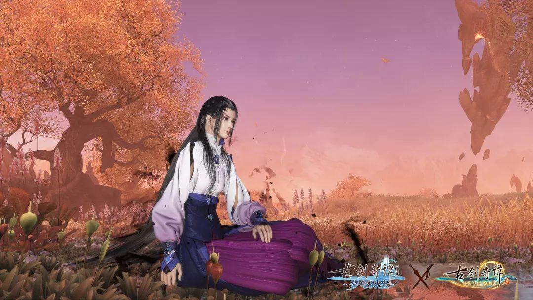 指导保险机构发展特色农业保险