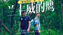 可爱猫咪救援