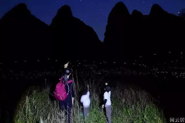 什么样的工作适合你，为什么？