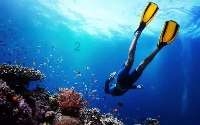 王大陆带新女友沐轩什刹海滑冰,甜蜜互动引热议